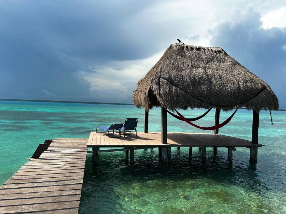 Luigi'S Glamping Daire Bacalar Dış mekan fotoğraf