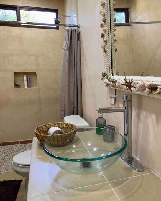 Luigi'S Glamping Daire Bacalar Dış mekan fotoğraf