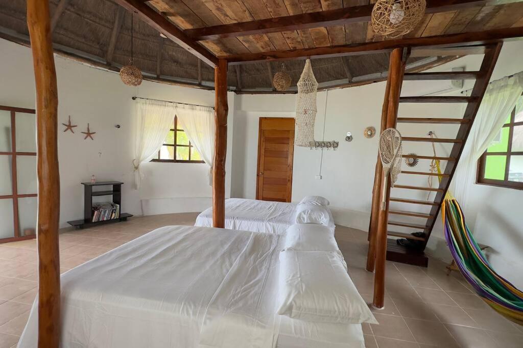 Luigi'S Glamping Daire Bacalar Dış mekan fotoğraf