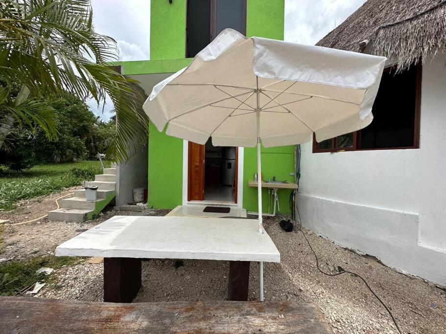 Luigi'S Glamping Daire Bacalar Dış mekan fotoğraf
