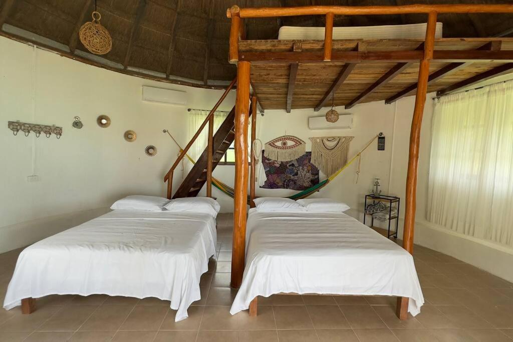 Luigi'S Glamping Daire Bacalar Dış mekan fotoğraf